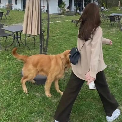新辰之上